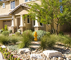 Drought-Resistant Landscaping / Xeriscaping