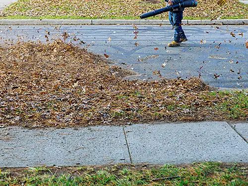 Cleanups & Fire Compliance, Los Angeles County, CA