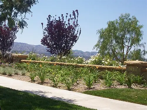 Landscape & Grounds Maintenance, Los Angeles County, CA