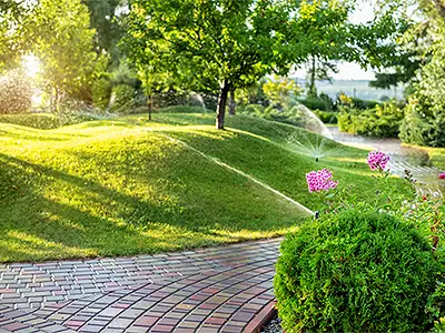 Healthcare Property Landscaping, Santa Clarita, CA Healthcare Property Landscaping, Santa Clarita, CA