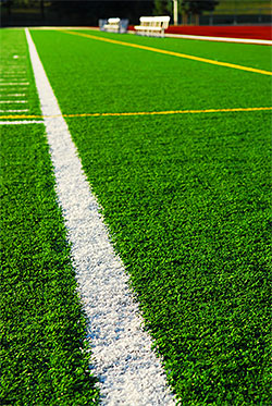 Artificial Turf