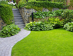 Landscape Design