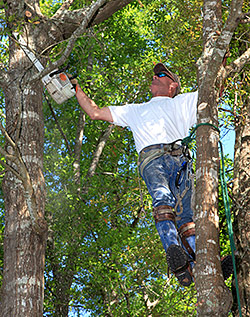 Landscape/Grounds Maintenance