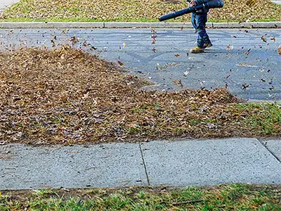 Property Cleanups & Fire Compliance, Los Angeles County, CA Property Cleanups & Fire Compliance, Los Angeles County, CA